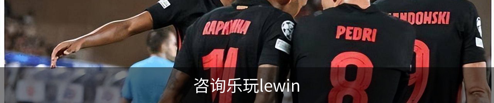 咨询乐玩lewin